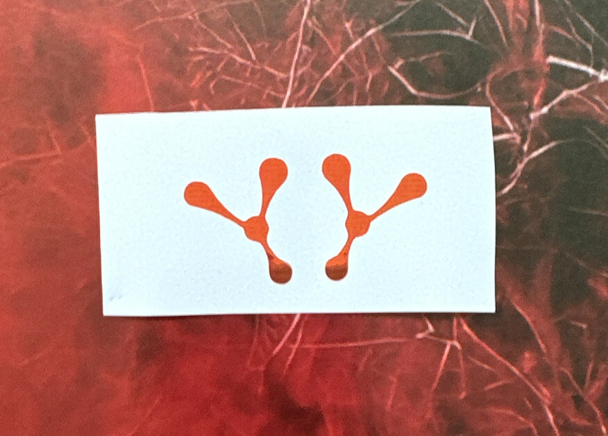Picture 4 of 10