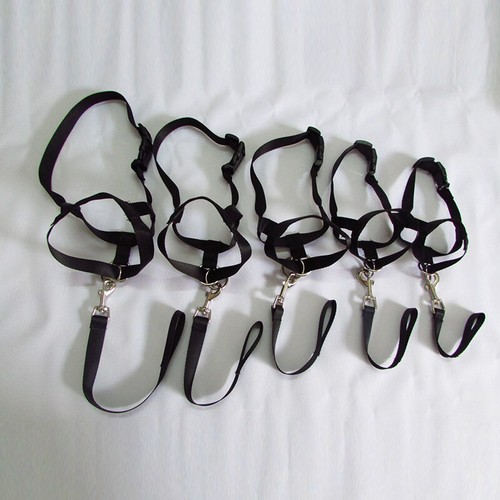 Gentle Halter Leash Gentle Leader Head Collar No Pull for Training Dog Muzzle US - Picture 5 of 23