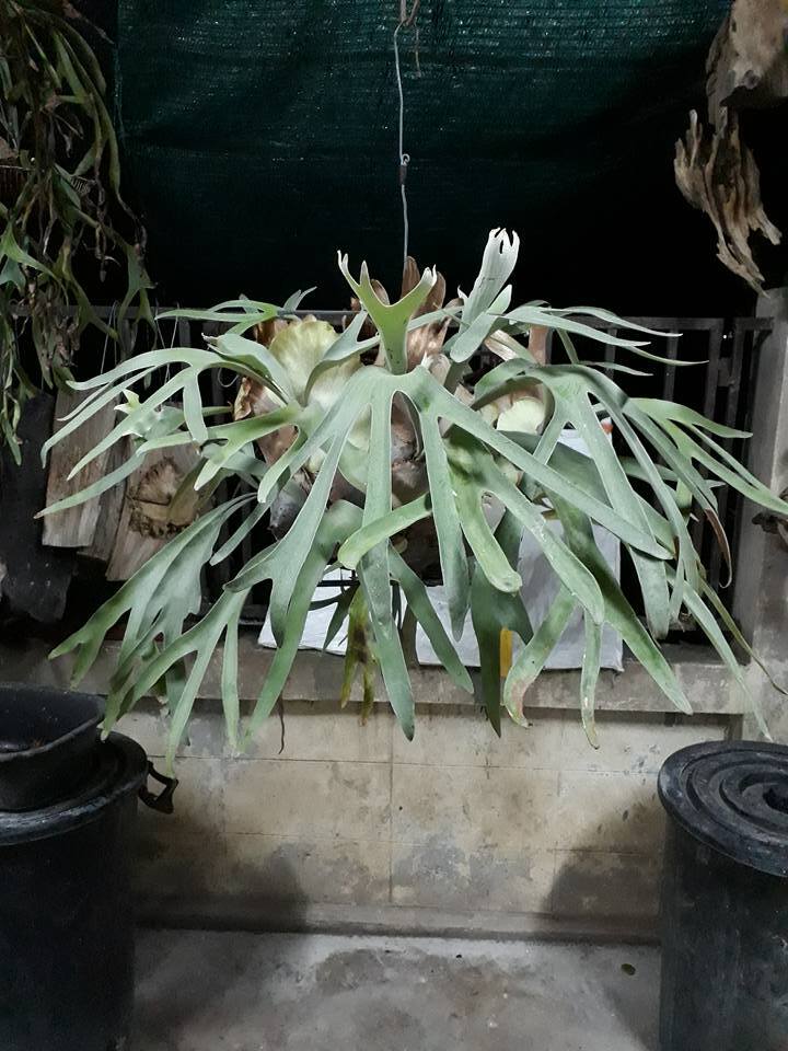 Picture 4 of 6