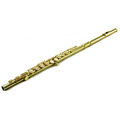 NEW Band Approved ''Sky'' Gold Plate Gold Keys Flute w Hard Case & Soft Bag 