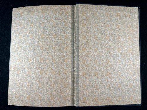 The Rubber Country of the Amazon 1911 Henry C. Pearson India World HC ex-library - Picture 17 of 18