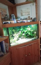 Eckaquarium mit Unterschrank und Pumpe