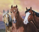 35" Fabric Panel | David Textiles Digital Yella, Big Boy, Cadillac Horse Scene