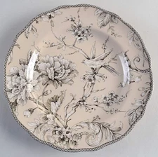 222 Fifth Adelaide Antique White Dinner Plate 11893480
