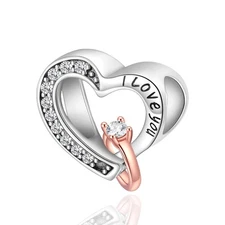 925 Sterling Silver Bead Charm for  Bracelets and Necklaces,Two-Tone Holl