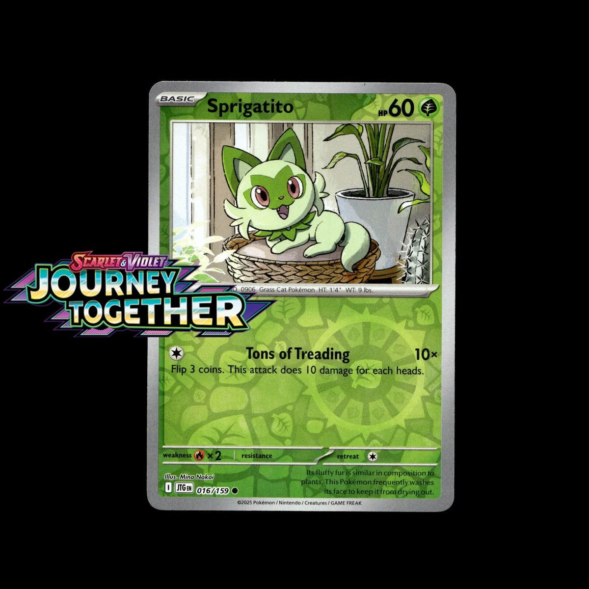 Sprigatito Pokmon TCG Cards for sale | eBay Sprigatito Pokmon TCG Cards for sale | eBay