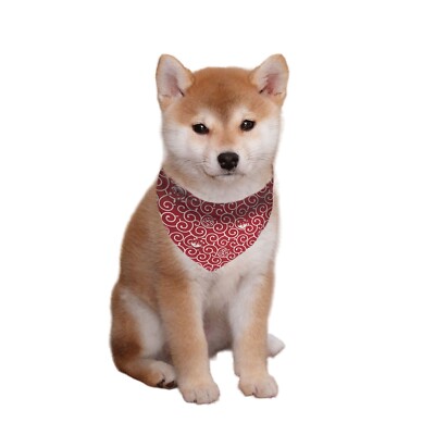 Dog Breeds Shiba Mix Puppies For Sale Shiba Inu Puppy Karakusa