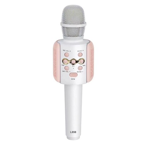 Karaoke Maschine Mit 2 Drahtlosen Mikrofonen - Tragbarer Bluetooth Lautsprecher Mit Stimmeffekten & LED Lichtern