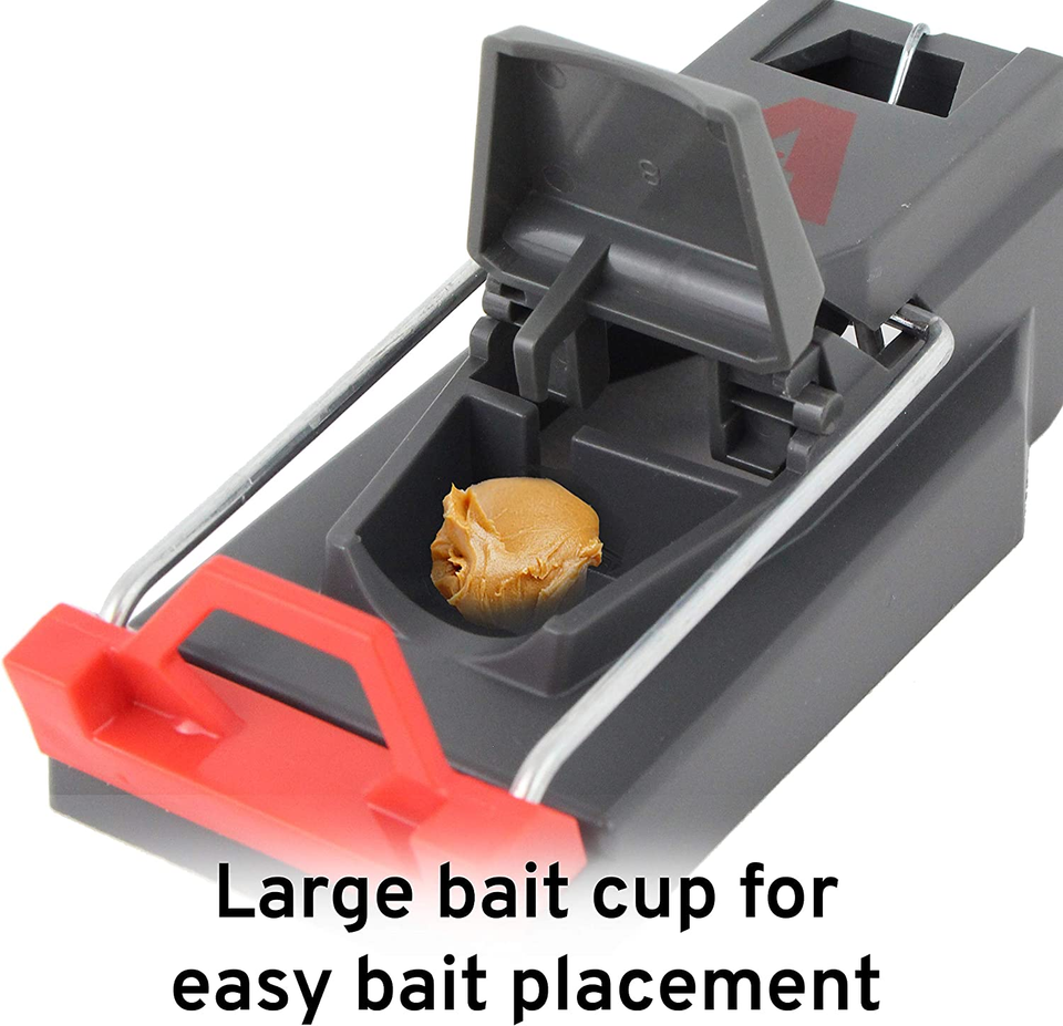 Photo inspiration: Victor M123Ssr Quick Kill Easy Set Mouse Trap Photo Inspiration