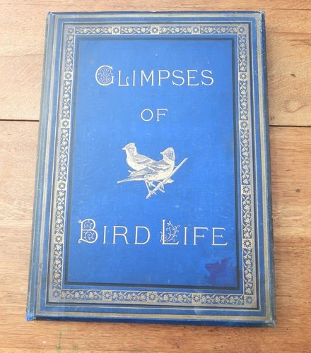 GLIMPSES OF BIRD LIFE 1880 FIRST EDN. STUNNING COLOUR PLATES. VERY LARGE BOOK