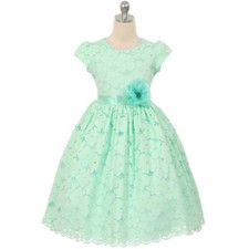 MINT Size 2 Summer Floral Lace Girl Dress Party Birthday Bridesmaid Recital