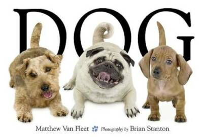 #ad Dog Hardcover By Van Fleet Matthew GOOD $5.98