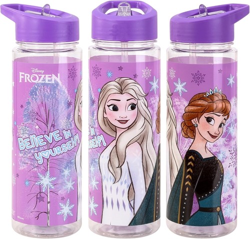 Kids Character Water Bottle 650ml with Straw – BPA-Free, Leakproof, Fun Design