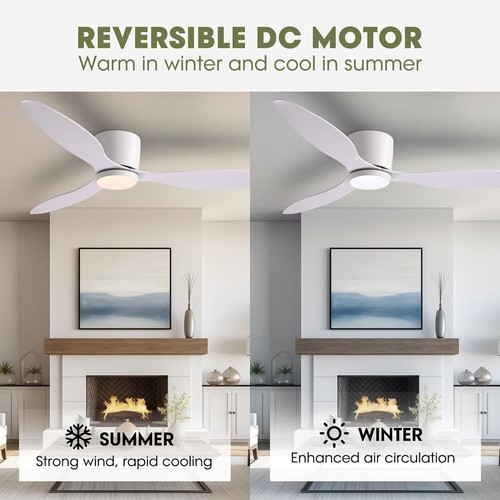 Ceiling Fans with Lights, 52 Inch Low Noise Reversible Airflow DC Motor Ceiling - Picture 6 of 9