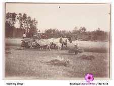 AGRICULTURE, MOISSONNEUSE-LIEUSE À CHEVAUX D'AUTREFOIS, FOINS, circa 1910 -B45