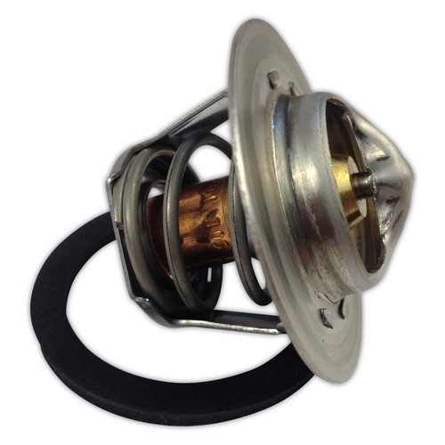 Raypak 006719F Heater Thermostat Unitherm Governor 840891002154 | eBay