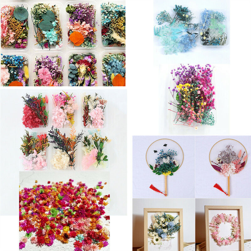 1 Box Mixed Dried Flowers for Limited time free shipping Epoxy Tulsa Mall Frame Candle Filling A Photo