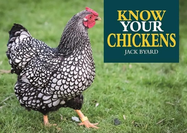 Know Your Chickens | Jack Byad | Englisch | Taschenbuch | 2020-image