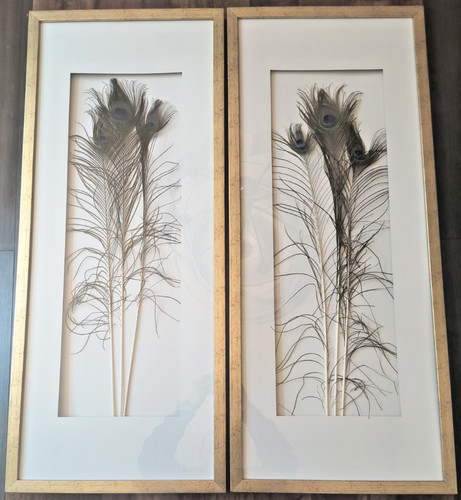 Set of 2 Large Framed Peacock Feather Wall Art - Gold Leaf Style Boutique Frame