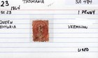 Tasmania 1864 Postage Stamp Queen Victoria 1 Penny Vermilion used Sc 23 SA-484 — photo 10