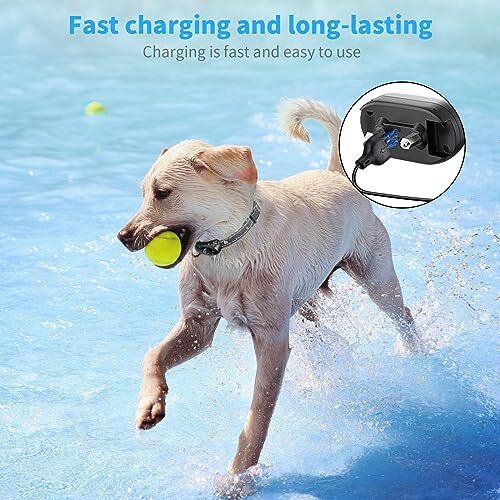 for Delupet Dog Training Collar Charger Replacement, MEROM Power Cable