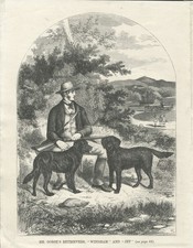 FLAT & CURLY COATED RETRIEVER DOGS AND OWNER 1867 ANTIQUE DOG PRINT ENGRAVING
