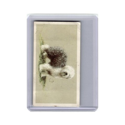 Old English Sheepdog 1979 Grandee Top Dogs Collection #12.0 VG