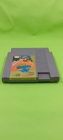 Dragon Spirit: The New Legend (NES, 1990) Manual , Foam, Sleeve . Tested!!!