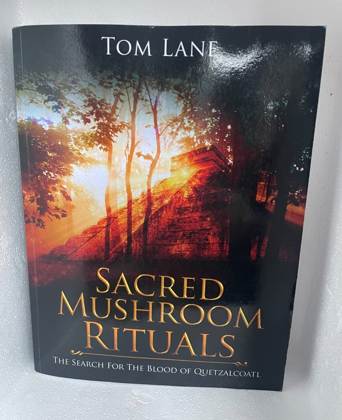 sacred mushroom rituals search for the blood of quetzalcoatl tom lane new age