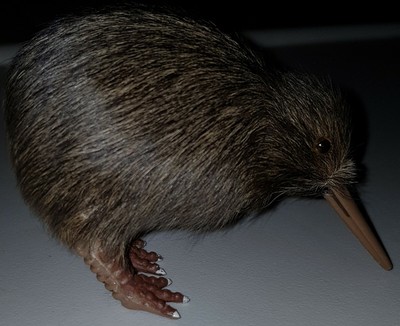 New Zealand Kiwi Bird Figure Model Replica Stuffed Toy Specimen | eBay