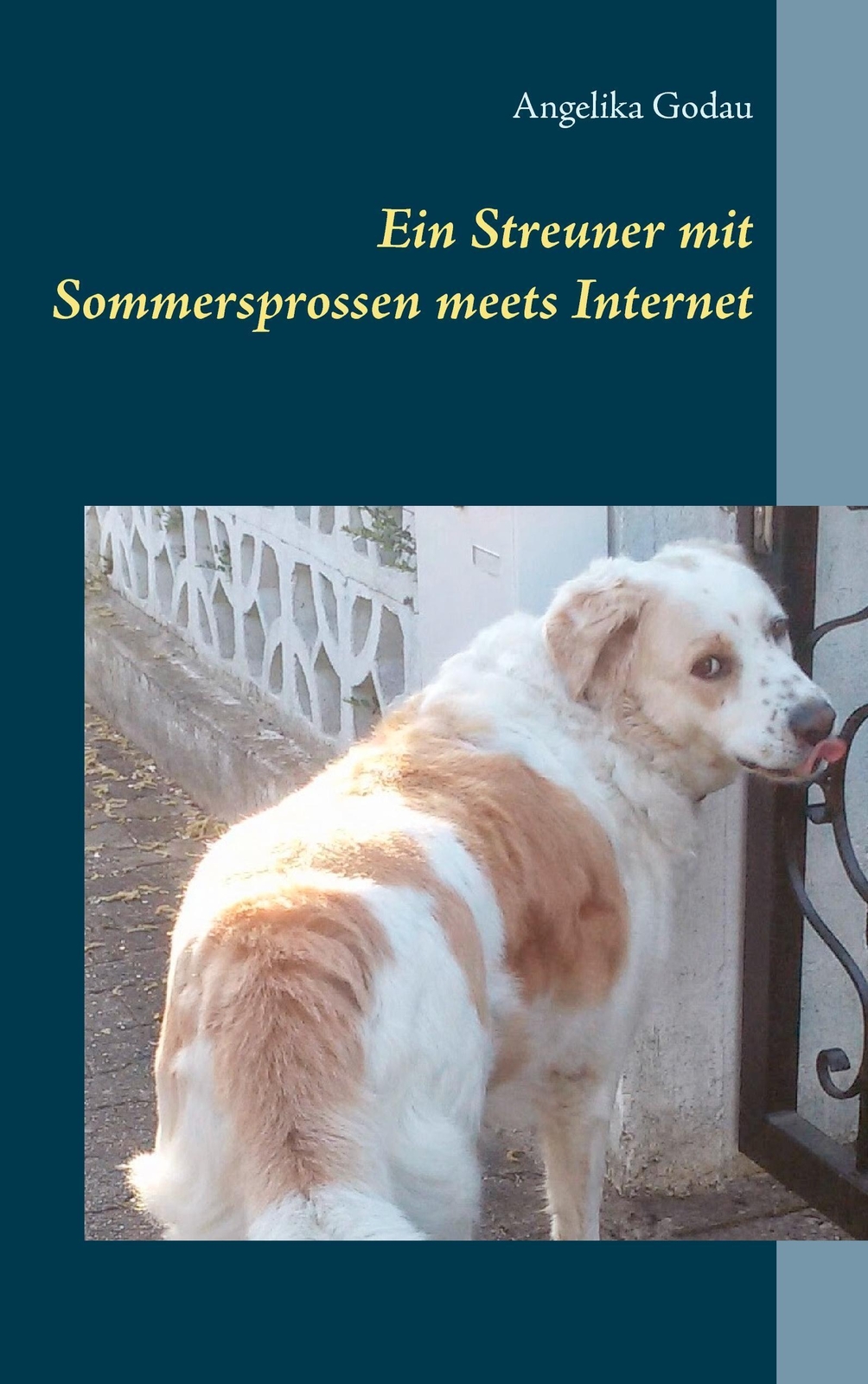 Ein Streuner Mit Sommersprossen Meets Internet Angelika Godau