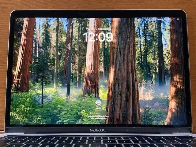 Apple MacBook Pro 13" · i5 8th gen 2.4 GHz · 8GB · 256GB, photo 2 sur 5