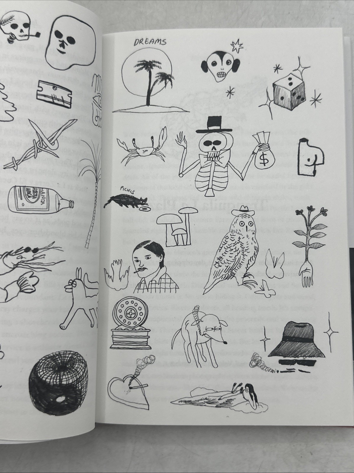 Picture 10 of 16