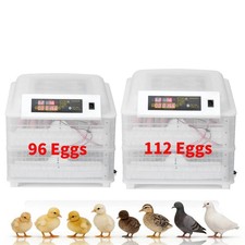 96/112 Digital Pet Eggs Incubator Hatcher Temperature Control Auto Turning