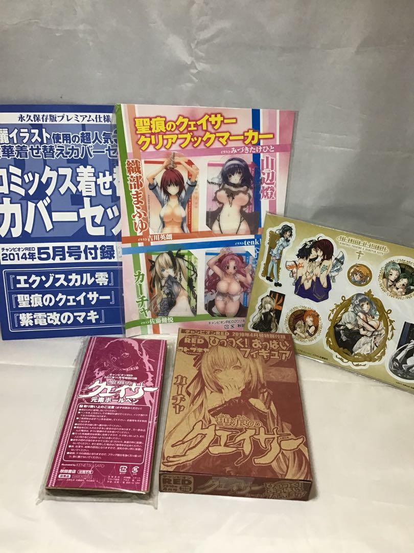 The Qwaser of Stigmata Goods Set