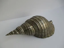BRONZE METAL SCULPTURE LARGE 14" NAUTICAL CONCH SHELL VINTAGE ORNATE BRASS