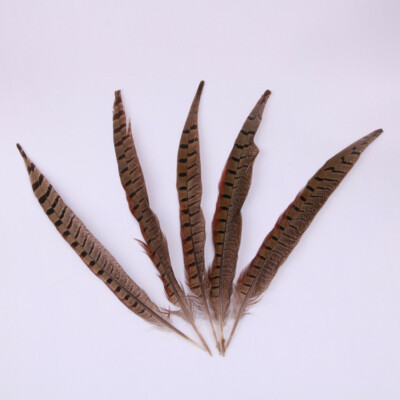 20 Pack 25-30cm Natural Pheasant Tail Feathers 10-12 Inch Long DIY Craft Party