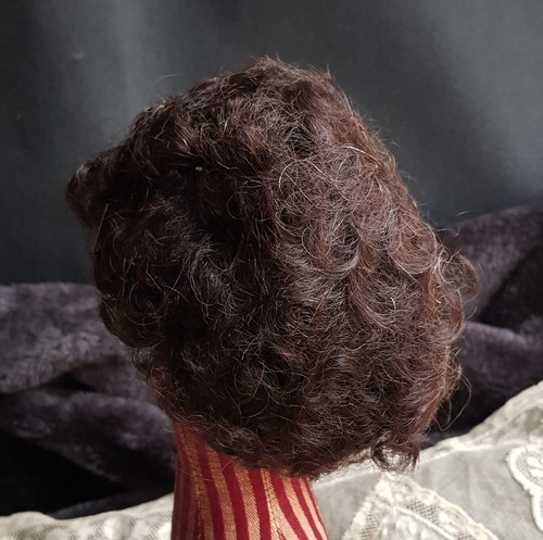 Perruque Cheveux Naturels Pour Poupée Ancienne - Tour De Tête 27-28 Cm - Occasion