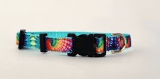 Tie Dye Dog Collar, Leash, or Martingale- 3/4" wide