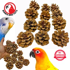 Bonka Bird Toys 3284 Pk12 Natural Pinecones Foot Talon Craft Part Parrot Toy Pet
