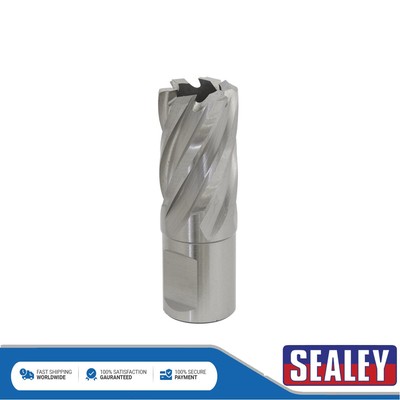 Sealey Worksafe �� 20 mm HSS Mag Bohrer Schnitttiefe 25 mm RBHSS20S