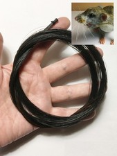 Morezmore M01173 6g Real Horse Hair Whiskers in Needle-Felting Black