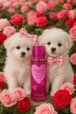 2025 VICTORIA  S SECRET BOWS  ROSES BODY MIST SPRAY SPLASH 8.4 oz NEW