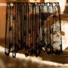 Bild 12 von 12