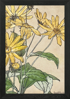 Sonnenblumen 1915 von Hanna gerahmtes Wandbild Poster Leinwanddruck Bild