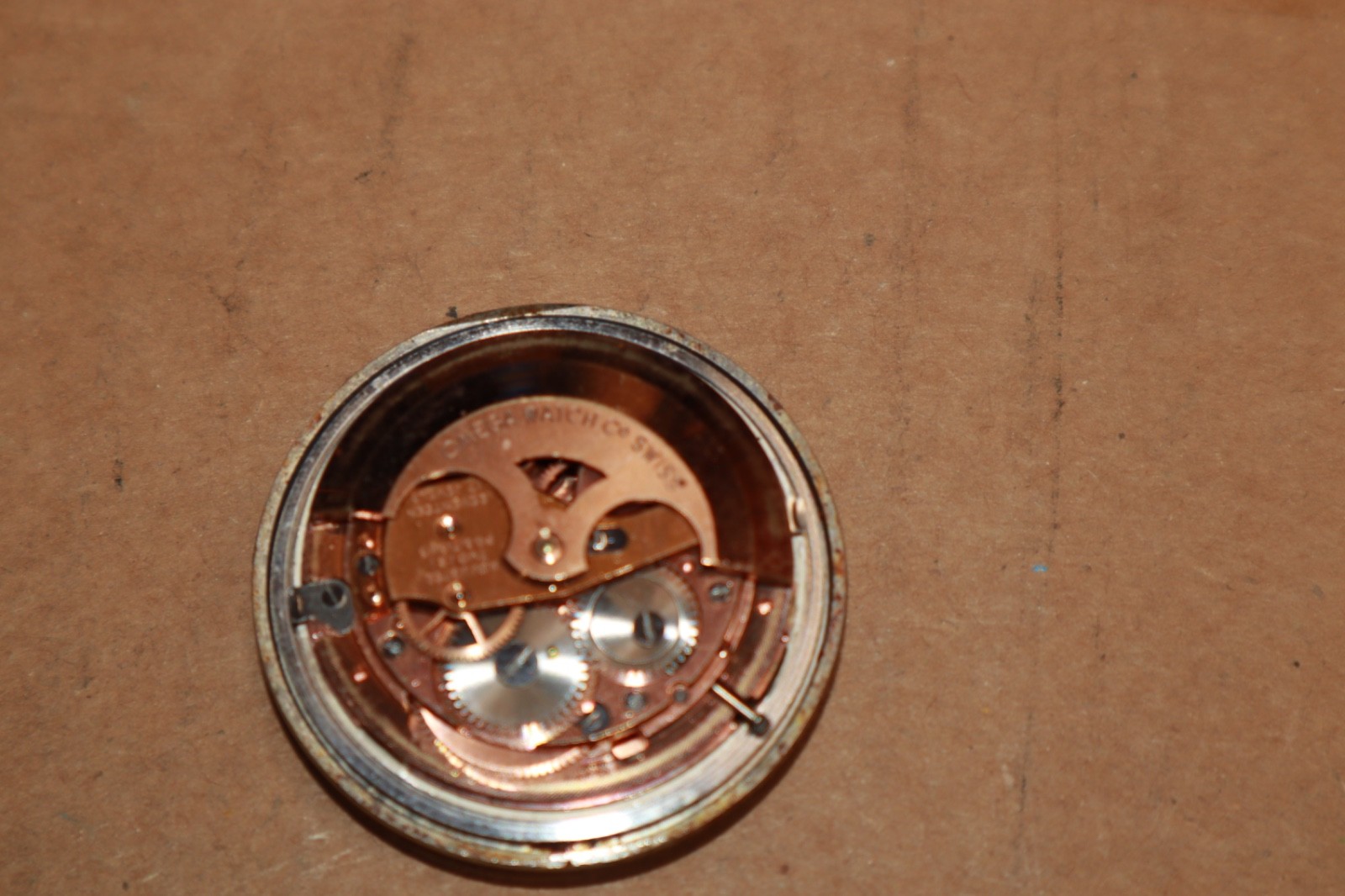 Picture 10 of 24