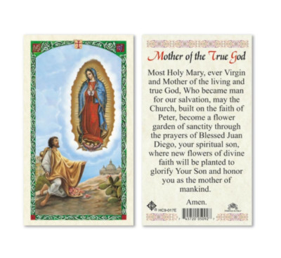 Our Lady of Guadalupe - Mother of the True God - Paperstock Holy Card HC9-017ENL