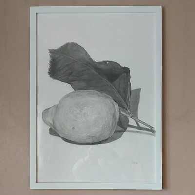 Zitronenstudie. Graphitzeichnung A2 weißer Rahmen unter Glas von Gemma Bradshaw