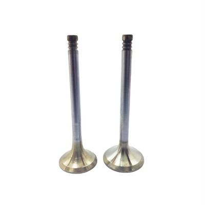 ENGINE VALVE KIT (In+Ex): MWM/D225-Z-D-V-S/D325-Z-D-V-S/D208-Z-D-V-S/D308-Z-D-V-S