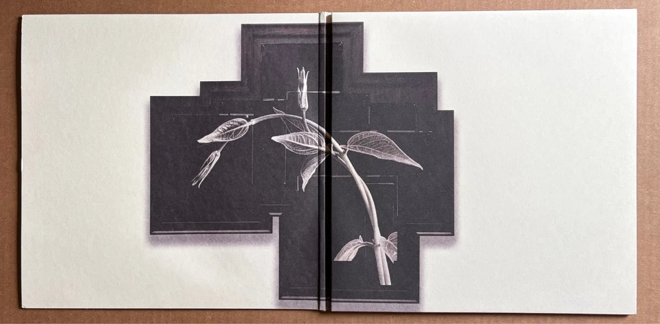 R.E.M. – Out Of Time RARE 3X reissue 180-gram 25th Anniversary vinyl LP '16 - Image 2 of 3